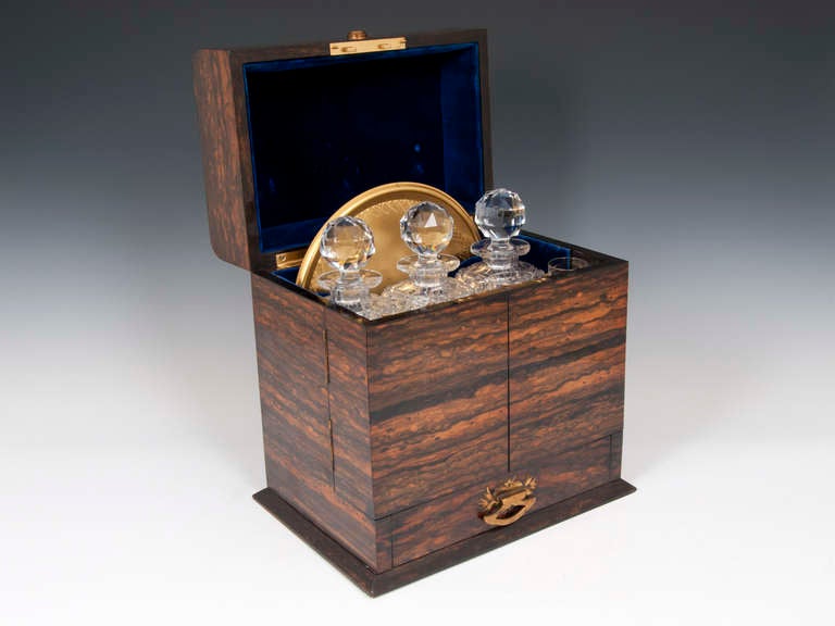 19th Century Coromandel Decanter Box 