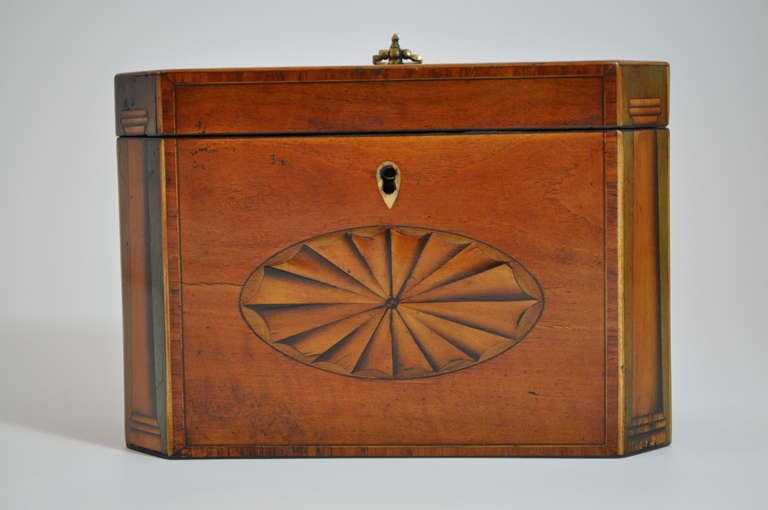 Stunning canted corner double Tea Caddy veneered in Satinwood with oval bat's wing medallions to the top & front and unusual decorative Doric collumns to its cants. The sides also are inlaid with oval medallions of burr yew with the escutcheon made