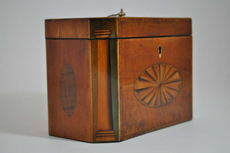 Georgian Tea Caddy In Excellent Condition For Sale In Northampton, United Kingdom