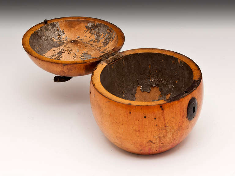 German Apple Tea Caddy