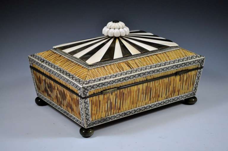 Horn Vizagapatam Quill Work Box