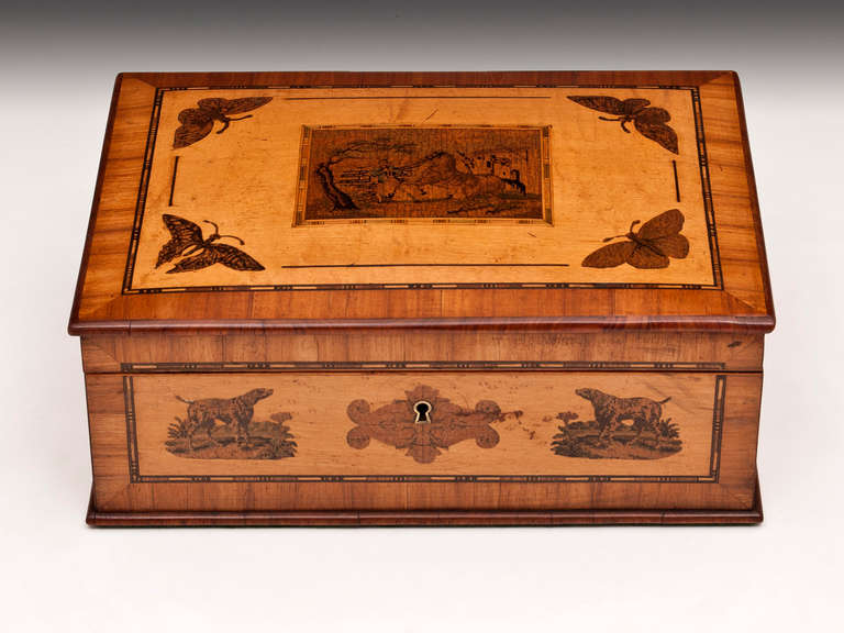 Unusual Tunbridge style box veneered in bird's-eye maple with tulipwood crossbanding and end grain moulded edge, the box features inlays of butterflies, dogs and a central view of a gentleman and his horse on the top of the box. The interior is