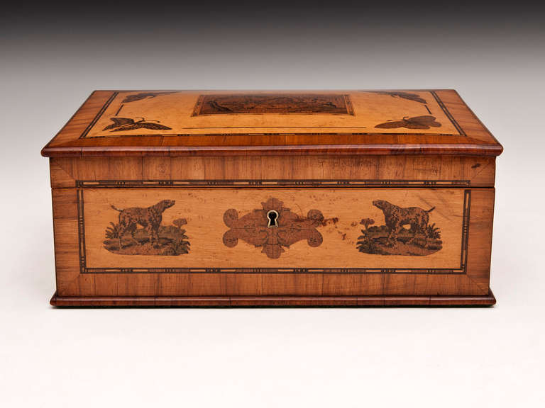 Victorian French Tunbridge Style Bird's-Eye Maple Box