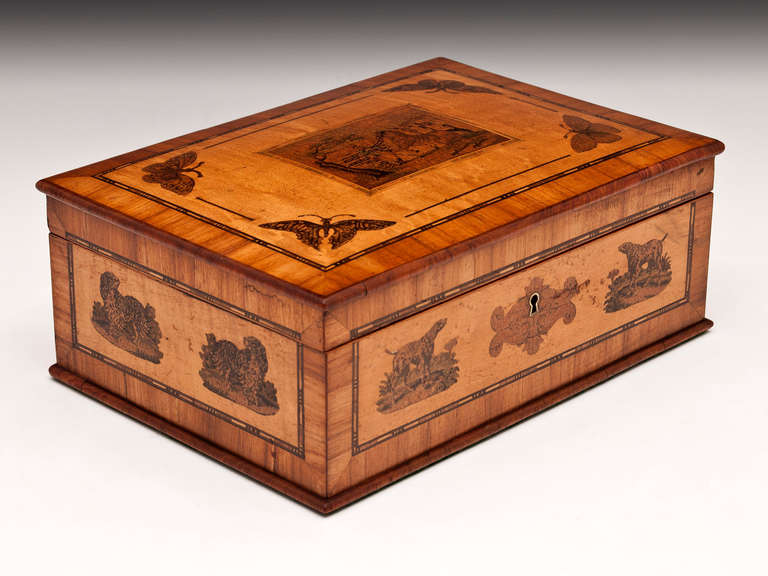 19th Century French Tunbridge Style Bird's-Eye Maple Box