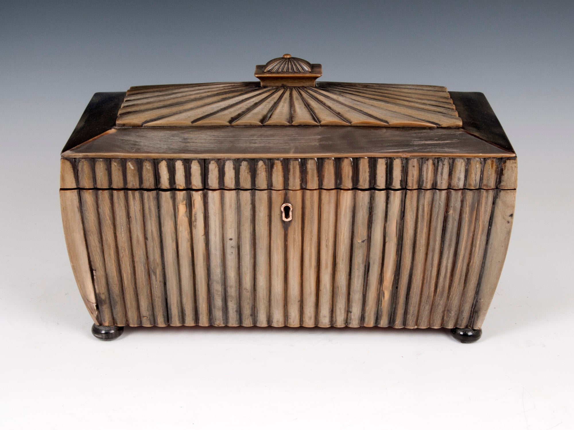 19th Century Anglo Indian Vizagapatam Horn Tea Caddy  For Sale