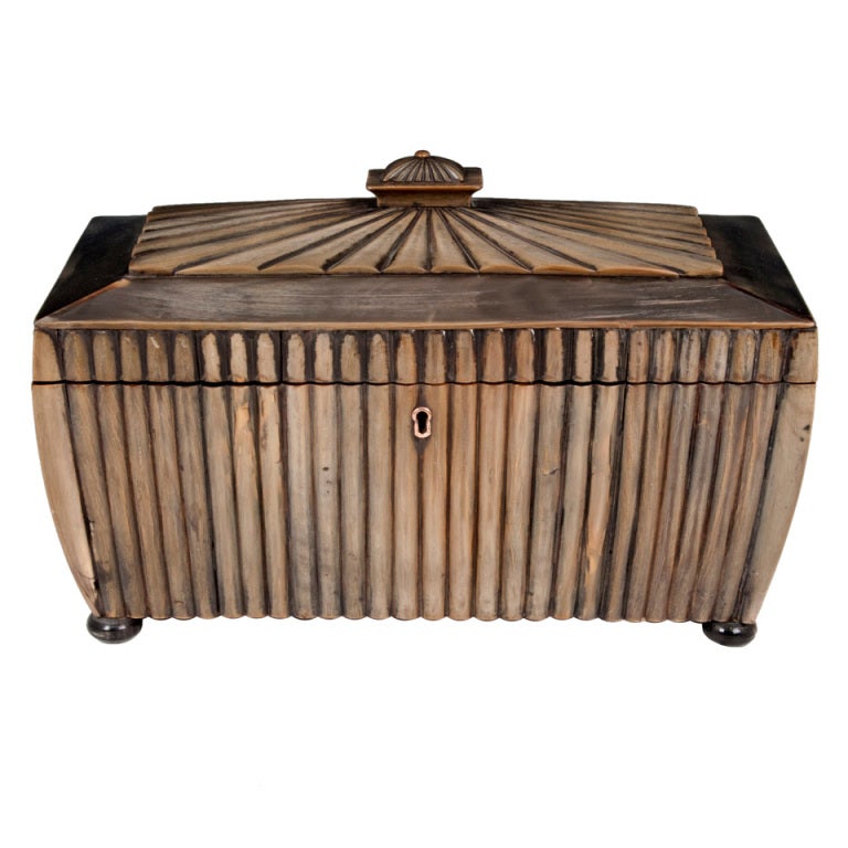 19th Century Anglo Indian Vizagapatam Horn Tea Caddy