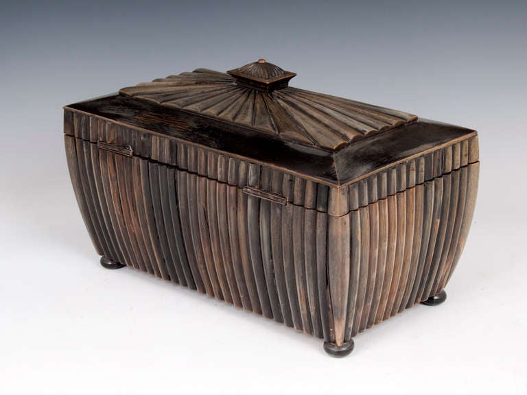 Victorian 19th Century Anglo Indian Vizagapatam Horn Tea Caddy For Sale