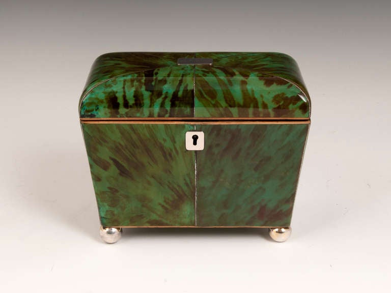 Green Tortoiseshell Tea Caddy