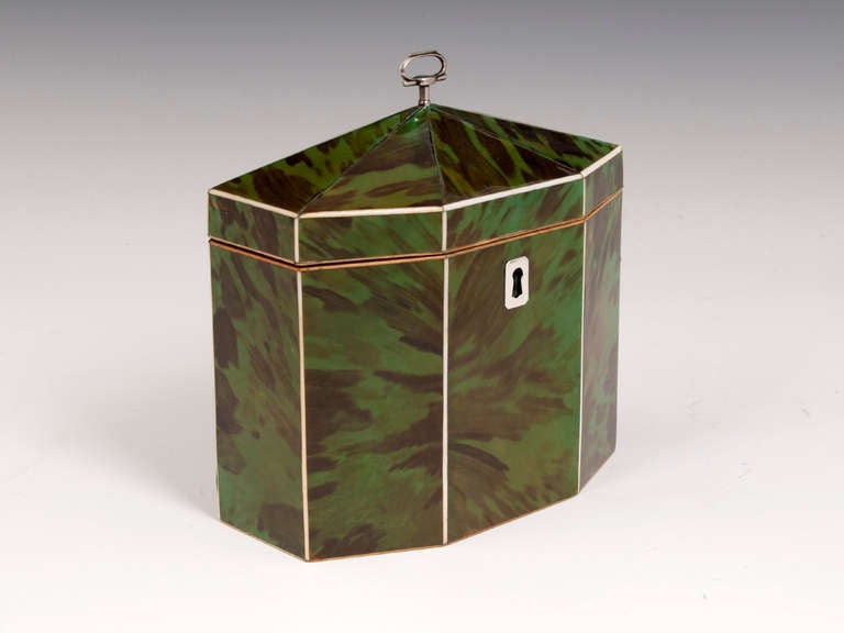 Tortoiseshell Tea Caddy