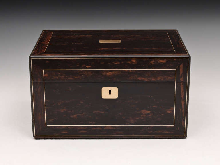 Antique Jewellery box veneered in exotic coromandel inlaid with brass stringing to the top & front, has sprung loaded jewellery drawer to the side.

The interior of this splendid antique jewellery box is lined with a blue silk velvet and blue