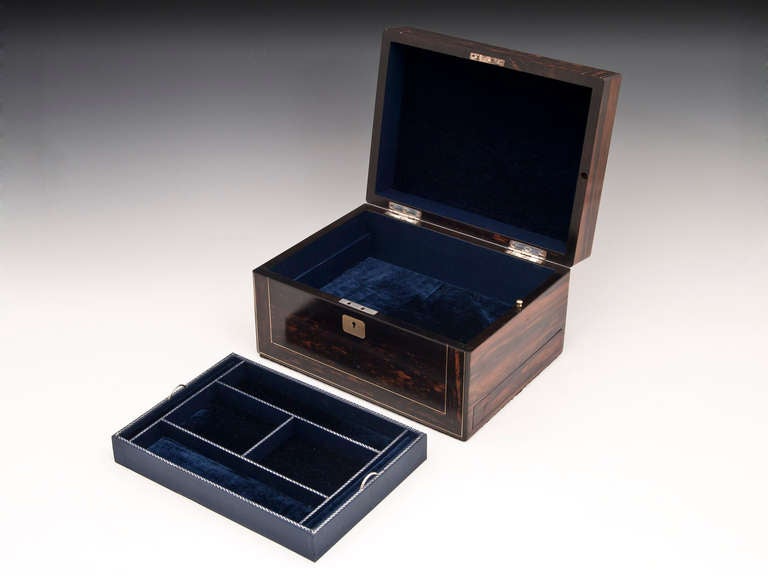 Coromandel Jewellery Box 2