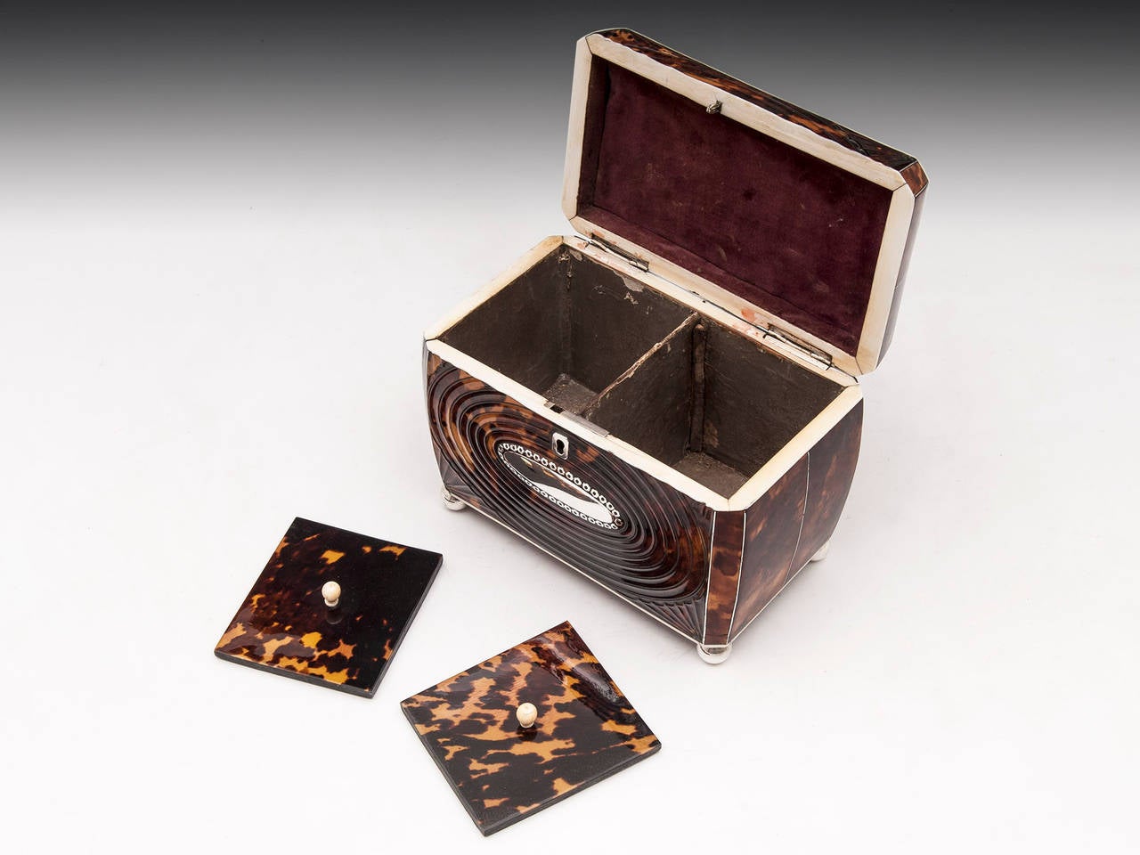 19th Century Pressed Tortoiseshell Regency Tea Caddy For Sale