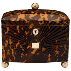 Regency Starburst Tortoiseshell Tea Caddy