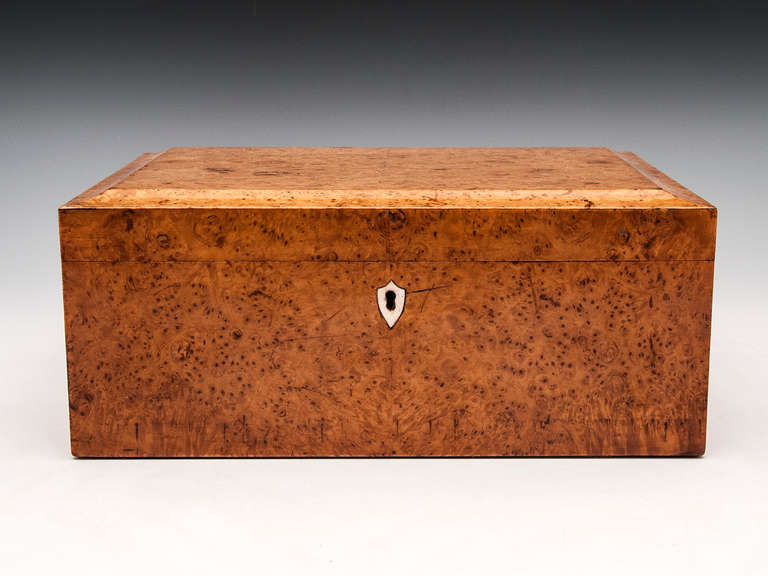 Cigar Box