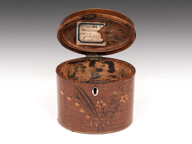 Bone George III Miniature Harewood Oval Tea Caddy