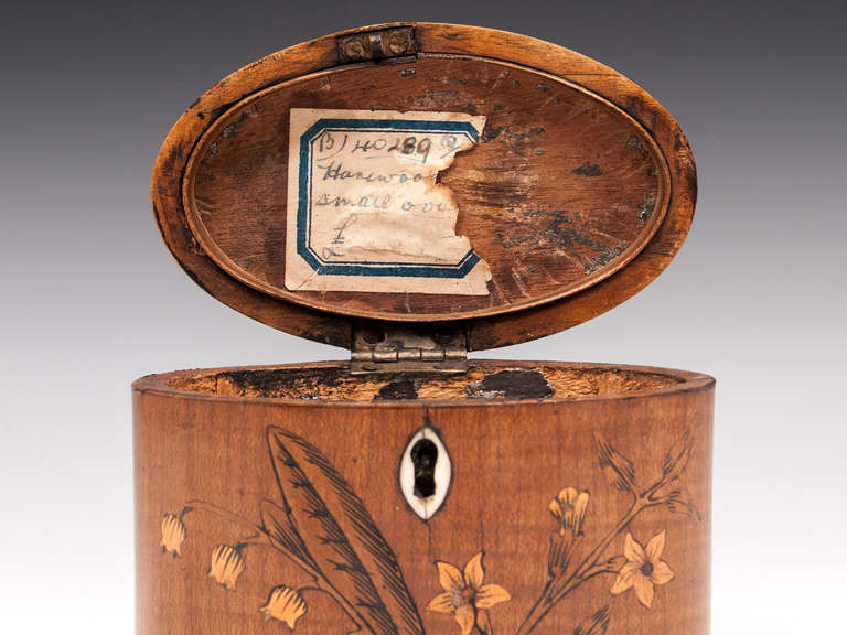 George III Miniature Harewood Oval Tea Caddy 1