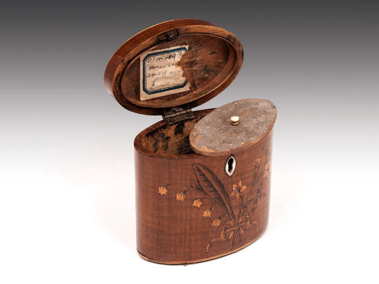 George III Miniature Harewood Oval Tea Caddy 2