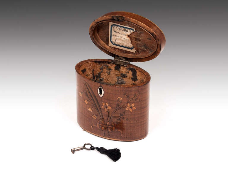 George III Miniature Harewood Oval Tea Caddy 4