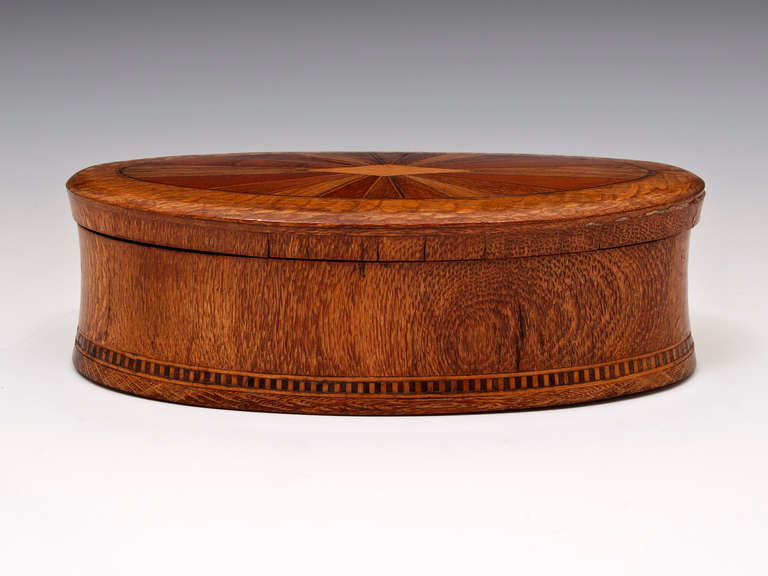 A rare oval Box by William Norrie of New Zealand veneered in colonial parquetry specimen woods, the removable lift off lid with a starburst inlays of many New Zealand timbers. The sides are slightly concave with a bottom edge having a checkered band