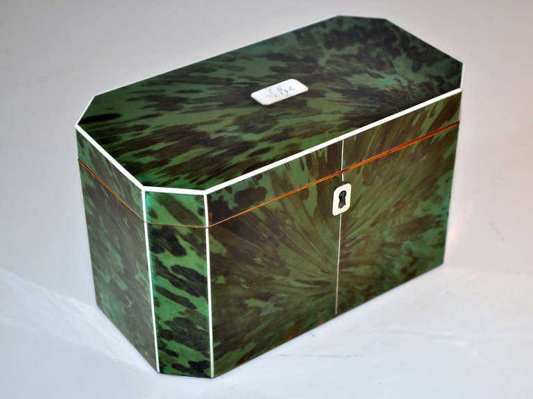 British Green Tortoiseshell Tea Caddy