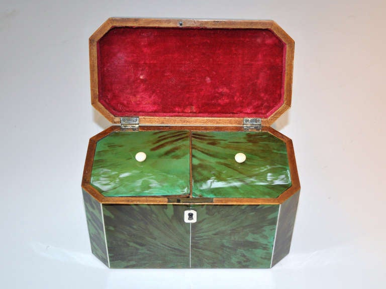 19th Century Green Tortoiseshell Tea Caddy