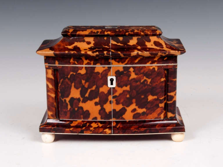 Tortoiseshell Tea Caddy