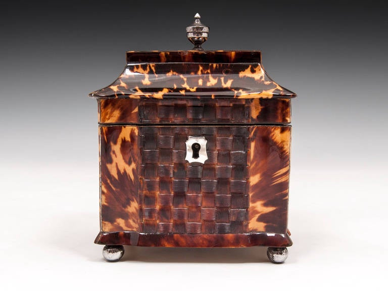 Pressed Tortoiseshell Tea Caddy