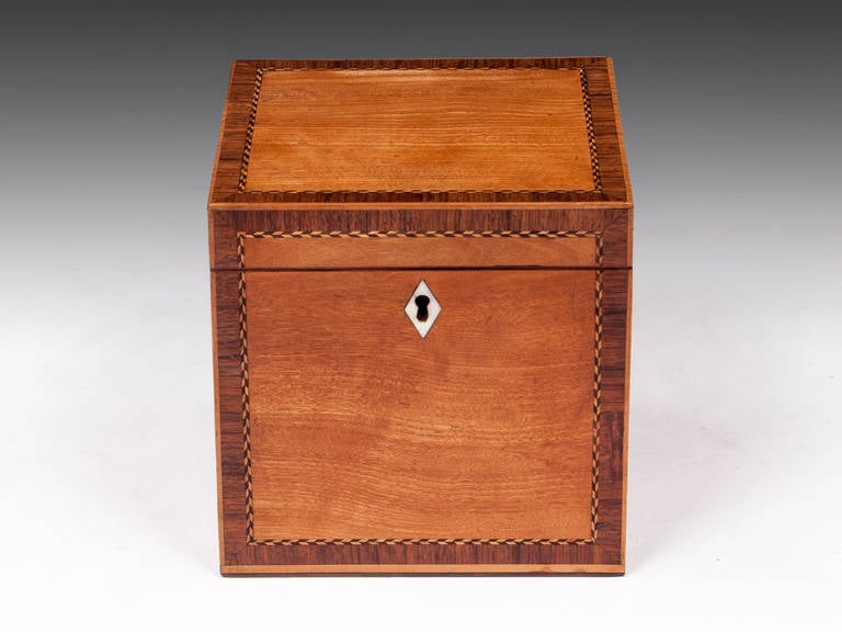 Georgian Satinwood Tea Caddy