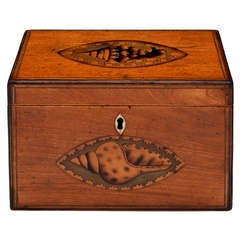 Georgian Satinwood Tea Caddy