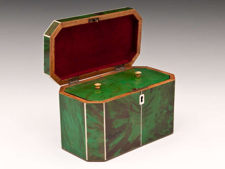 Tortoise Shell Green Tortoiseshell Tea Caddy