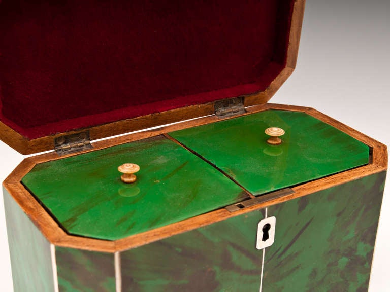 Green Tortoiseshell Tea Caddy 3