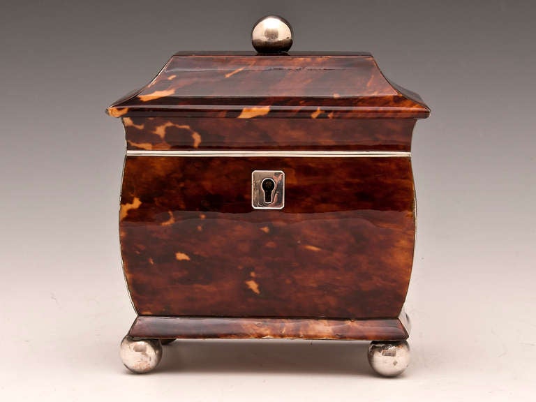 Small Tortoiseshell Tea Caddy