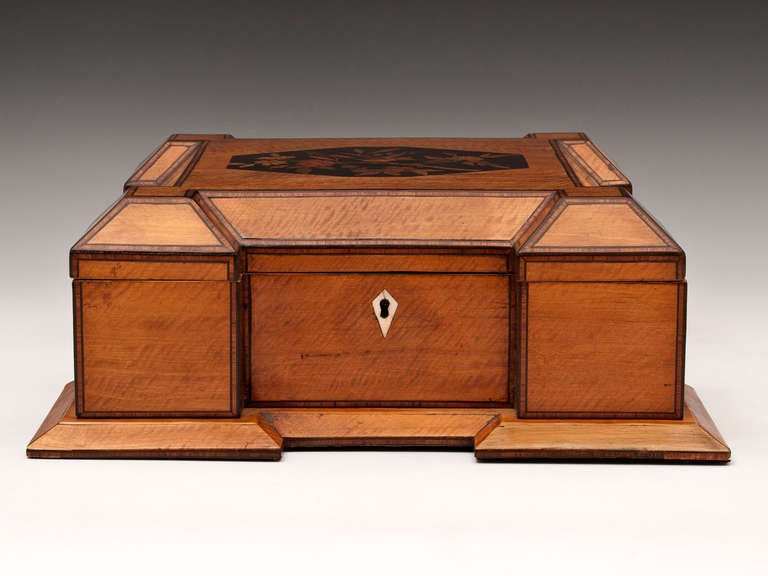 Stunning Architectural Satinwood Box with an inlaid image of an exotic bird sitting on a flowering branch on the lid, it has a bone escutcheon and has a tulipwood cross banding between ebony stringing and edging. We believe this to be one off and
