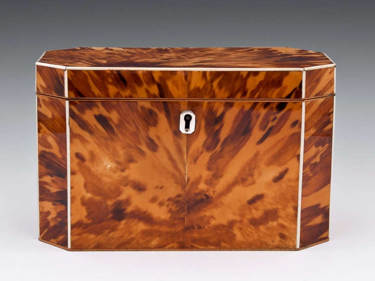 Blonde Tortoiseshell Tea Caddy