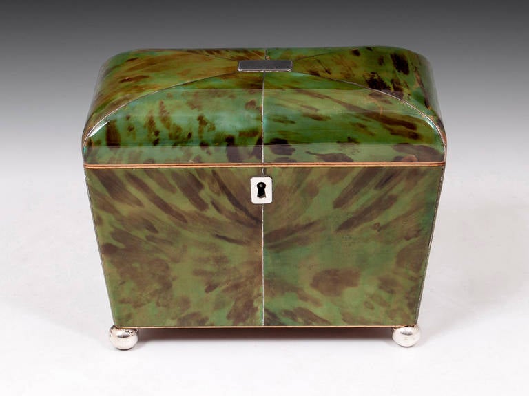 Green Tortoiseshell Tea Caddy