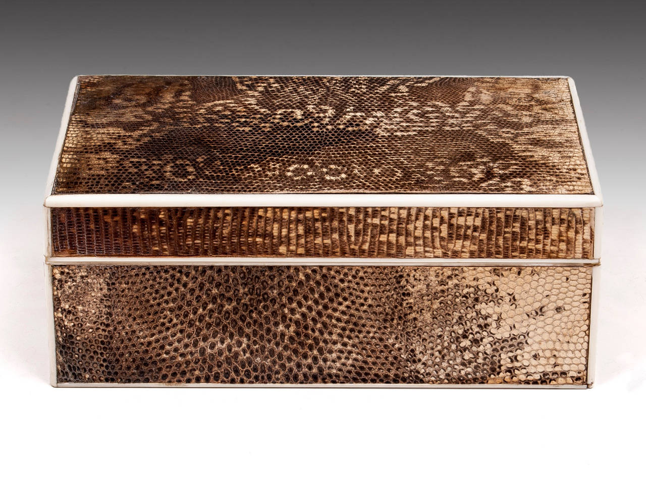 British Art Deco Snakeskin Box