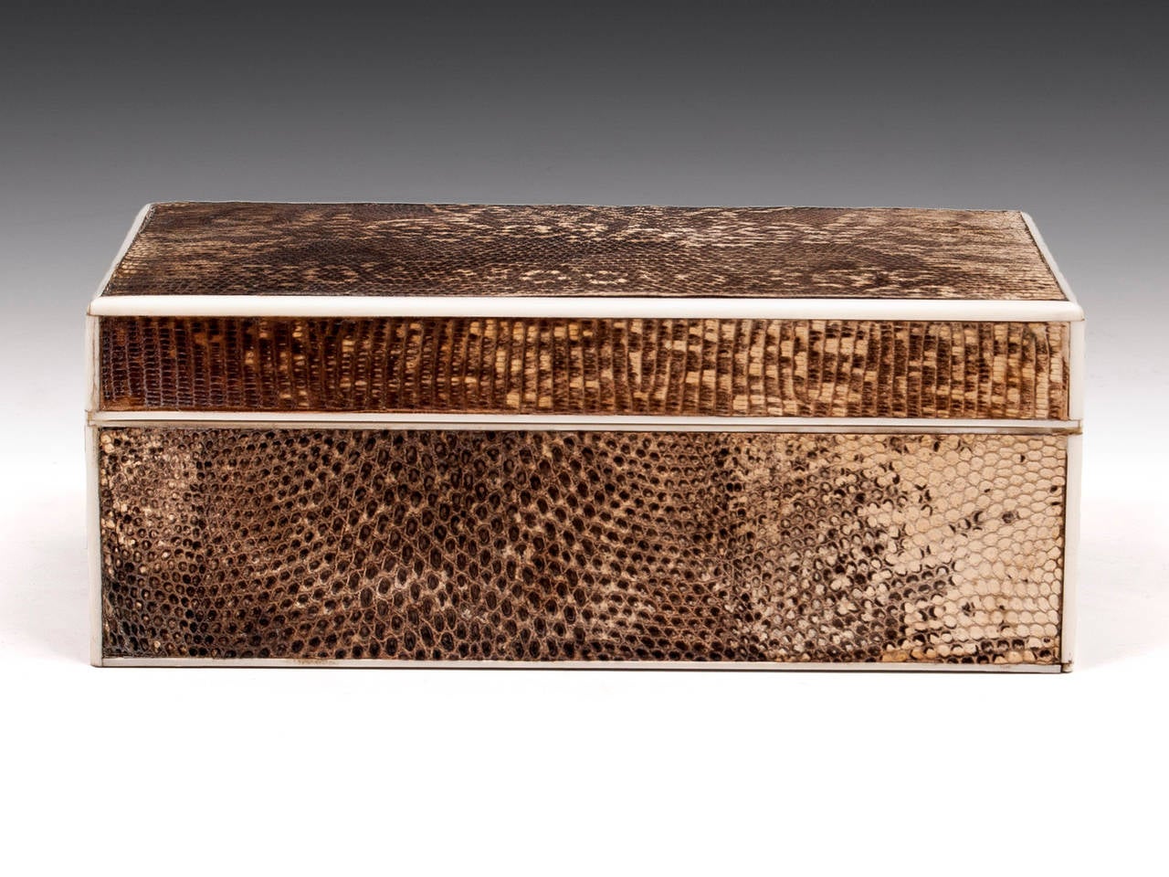 Art Deco Snakeskin Box In Good Condition In Northampton, United Kingdom