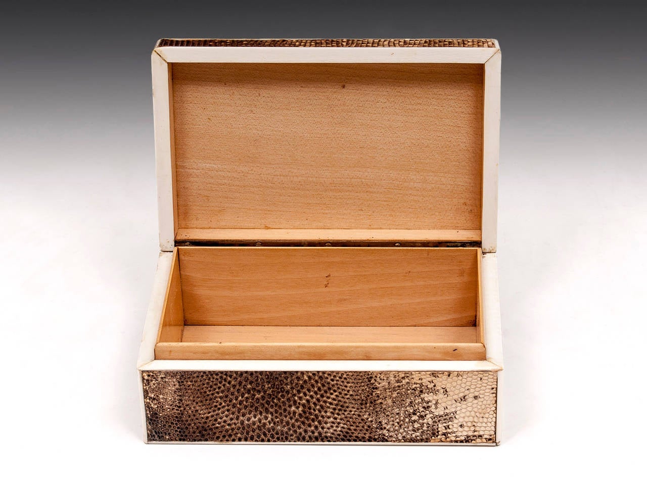 Mid-20th Century Art Deco Snakeskin Box