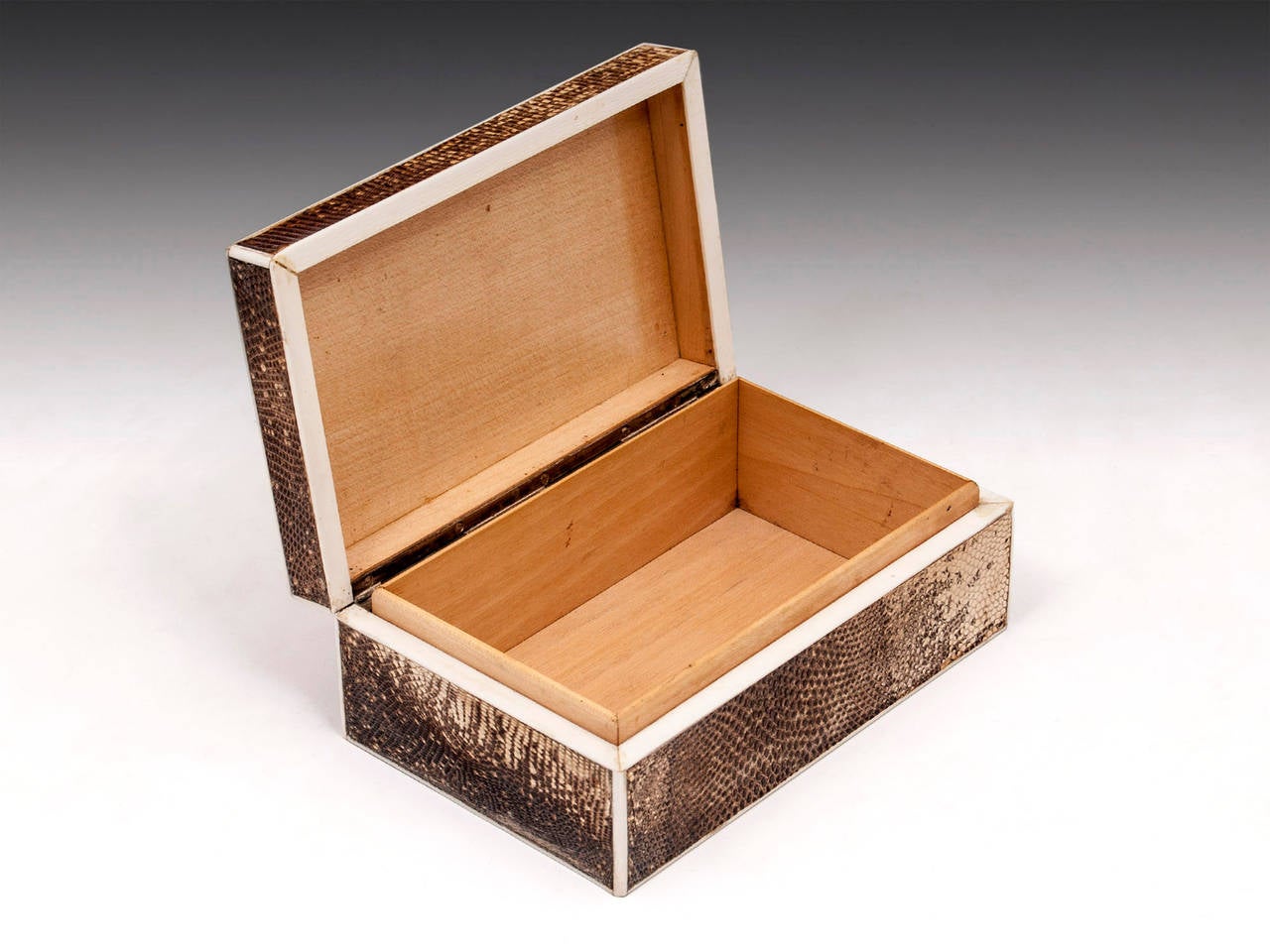 Art Deco Snakeskin Box 1