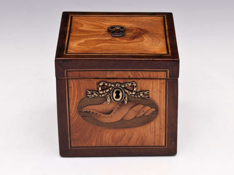 Satinwood Single Tea Caddy at 1stdibs