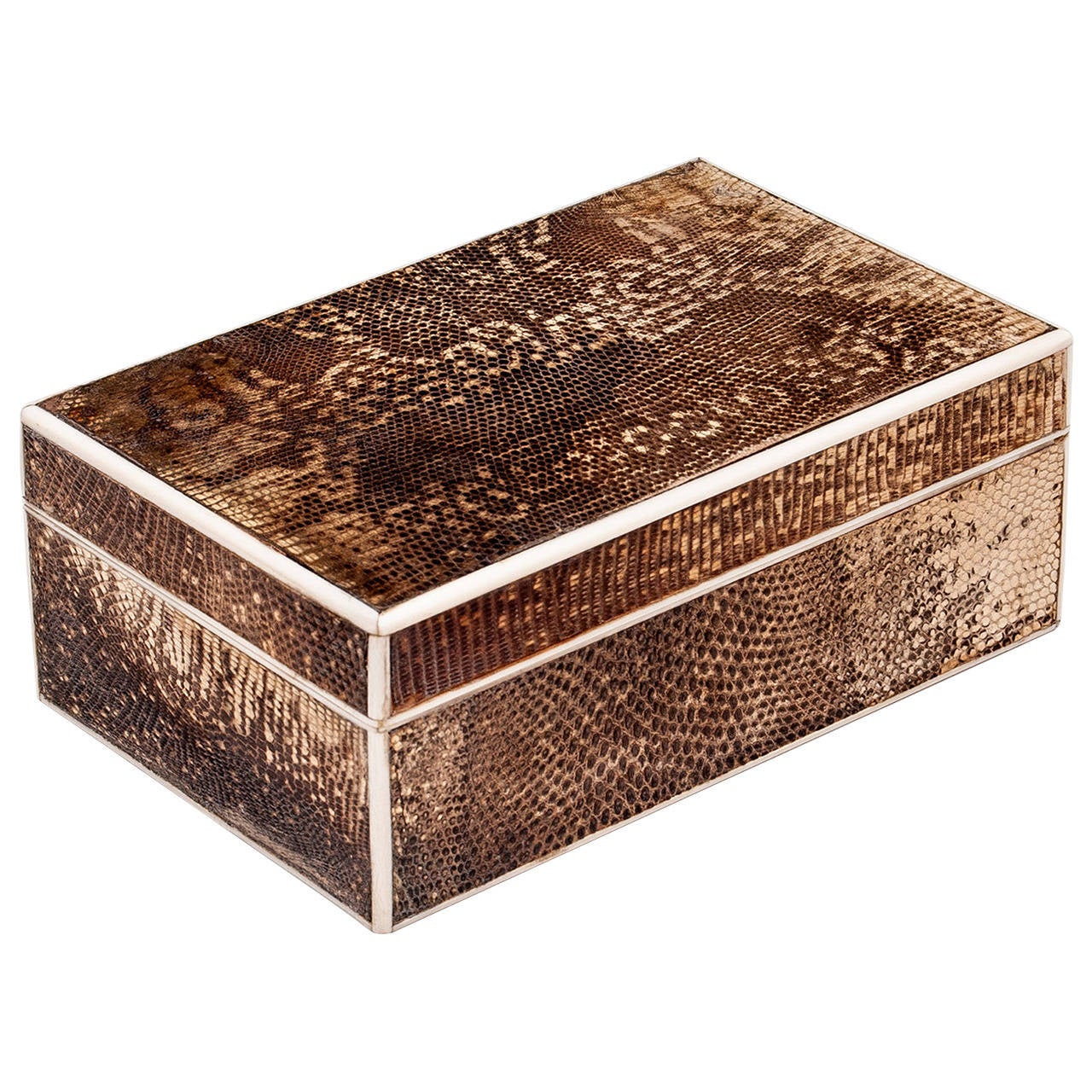 Art Deco Snakeskin Box at 1stdibs