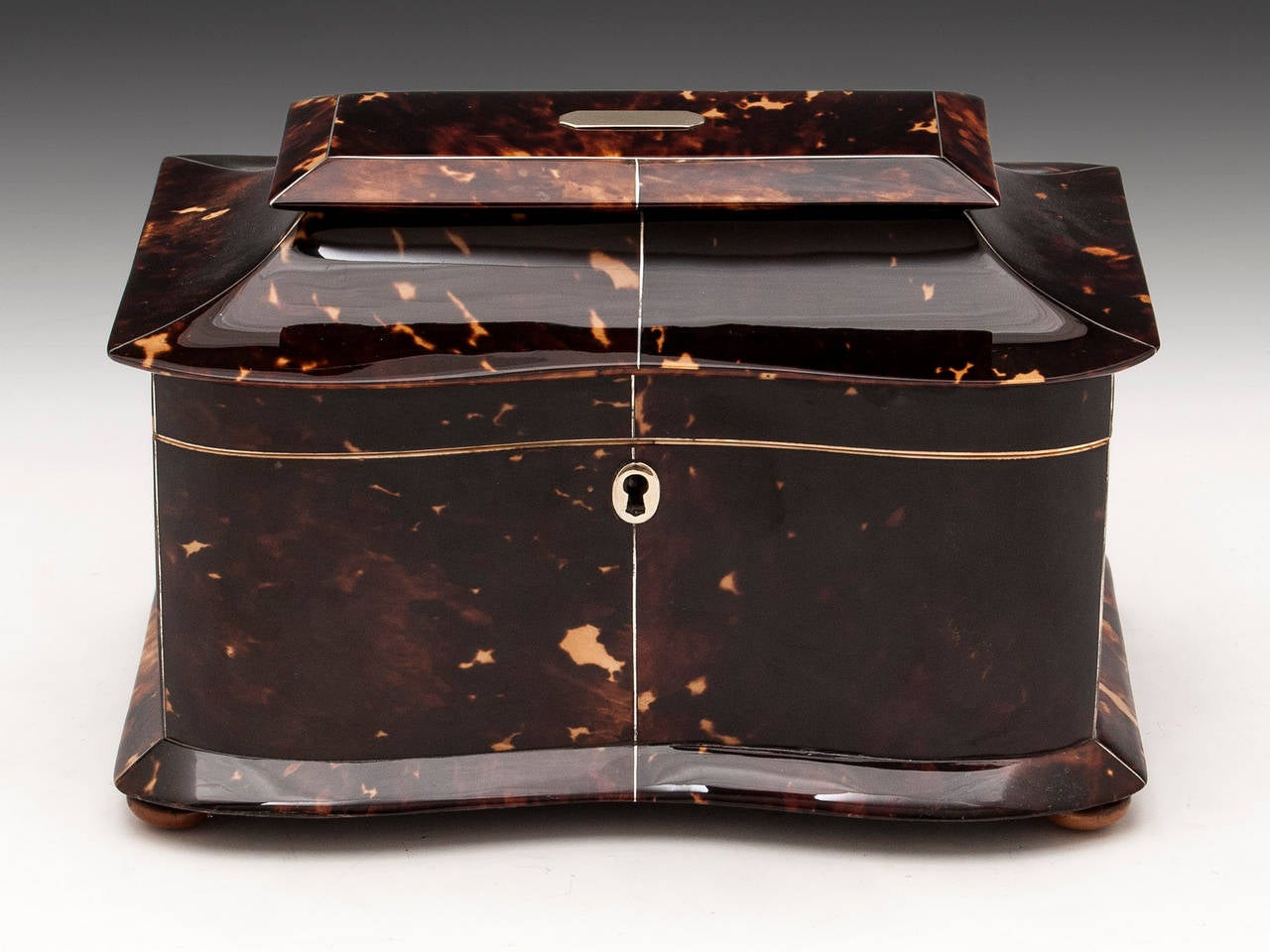 Regency Tortoiseshell Tea Caddy