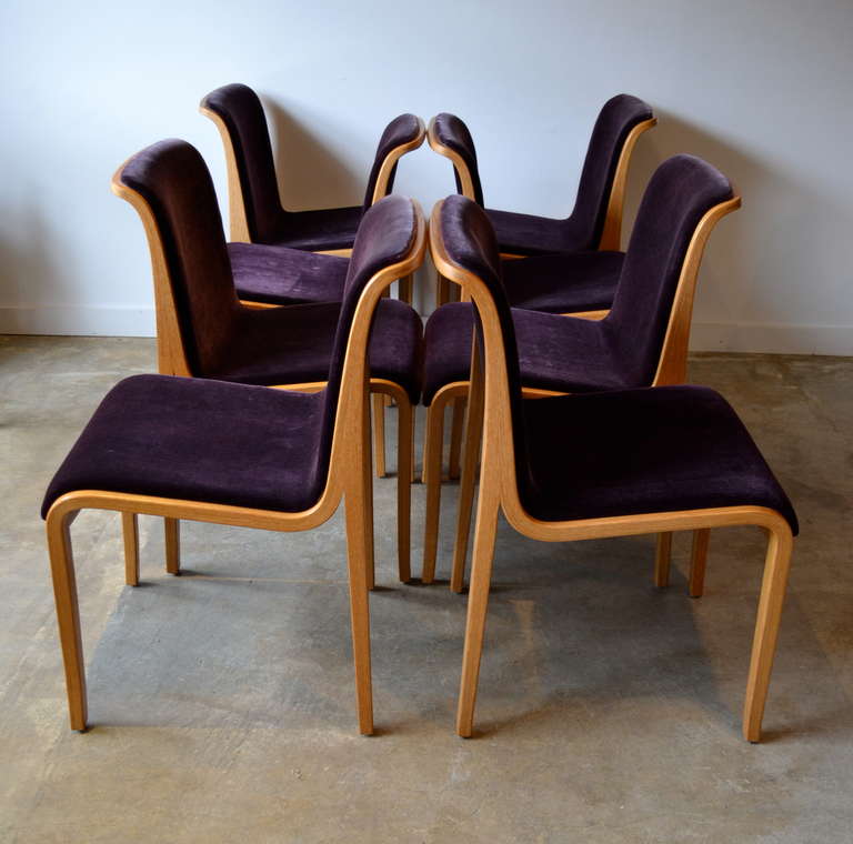 Vibrant deep burgundy mohair and bentwood oak frame dining chairs by Bill Stephens.