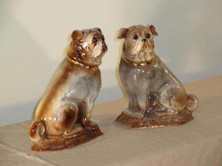 Wonderful pair of late 19th-C. Staffordshire pugs.  Excellent condition.
