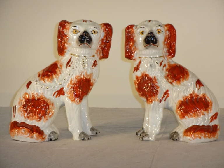 Fantastic pair of 19th-C. English Staffordshire dogs with separated front legs.  Excellent condition.  Normal wear for a piece of this age.