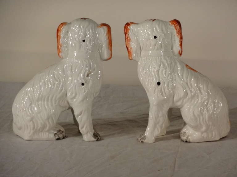 English 19th-C. Staffordshire Dogs with Separated Front Legs