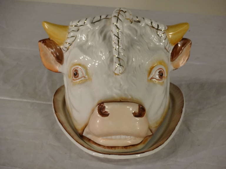 Wonderful and rare 19th-C. Staffordshire cheese dish in the shape of a cow's head.  