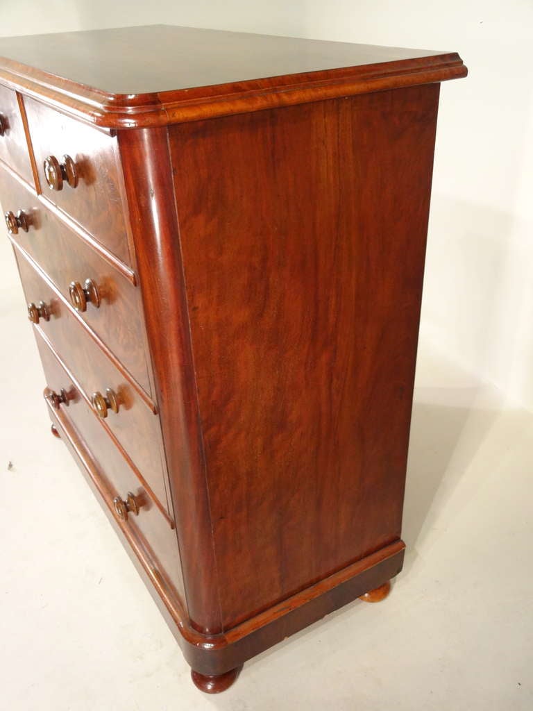 19th Century Large Scottish Mahogany Chest In Excellent Condition In High Point, NC