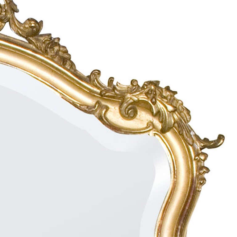 French 19th c. Rococo Louis Quinze gold gilded mirror