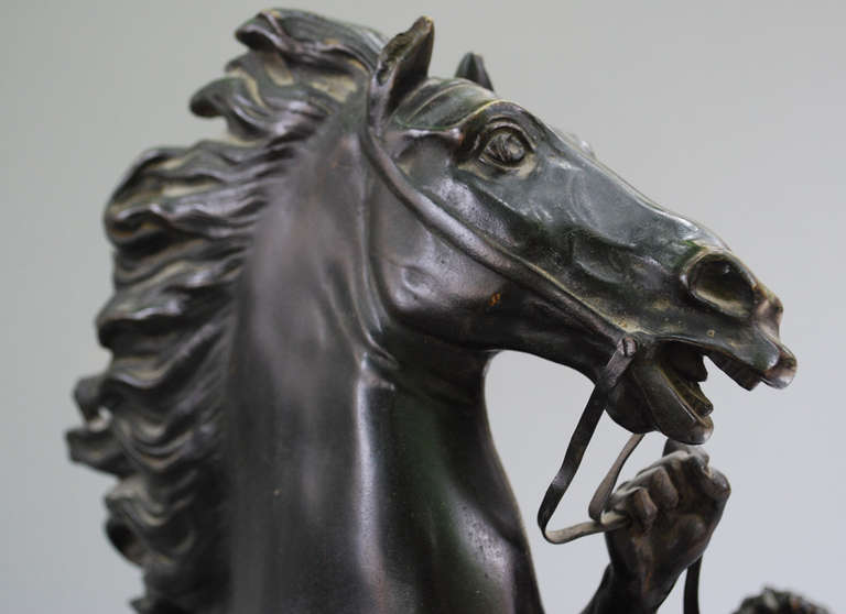 XIXe siècle Cheval de Marly en bronze d'après Cousteau 2